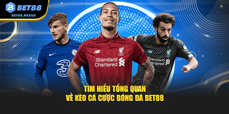 Tìm hiểu tổng quan về kèo cá cược bóng đá Bet88